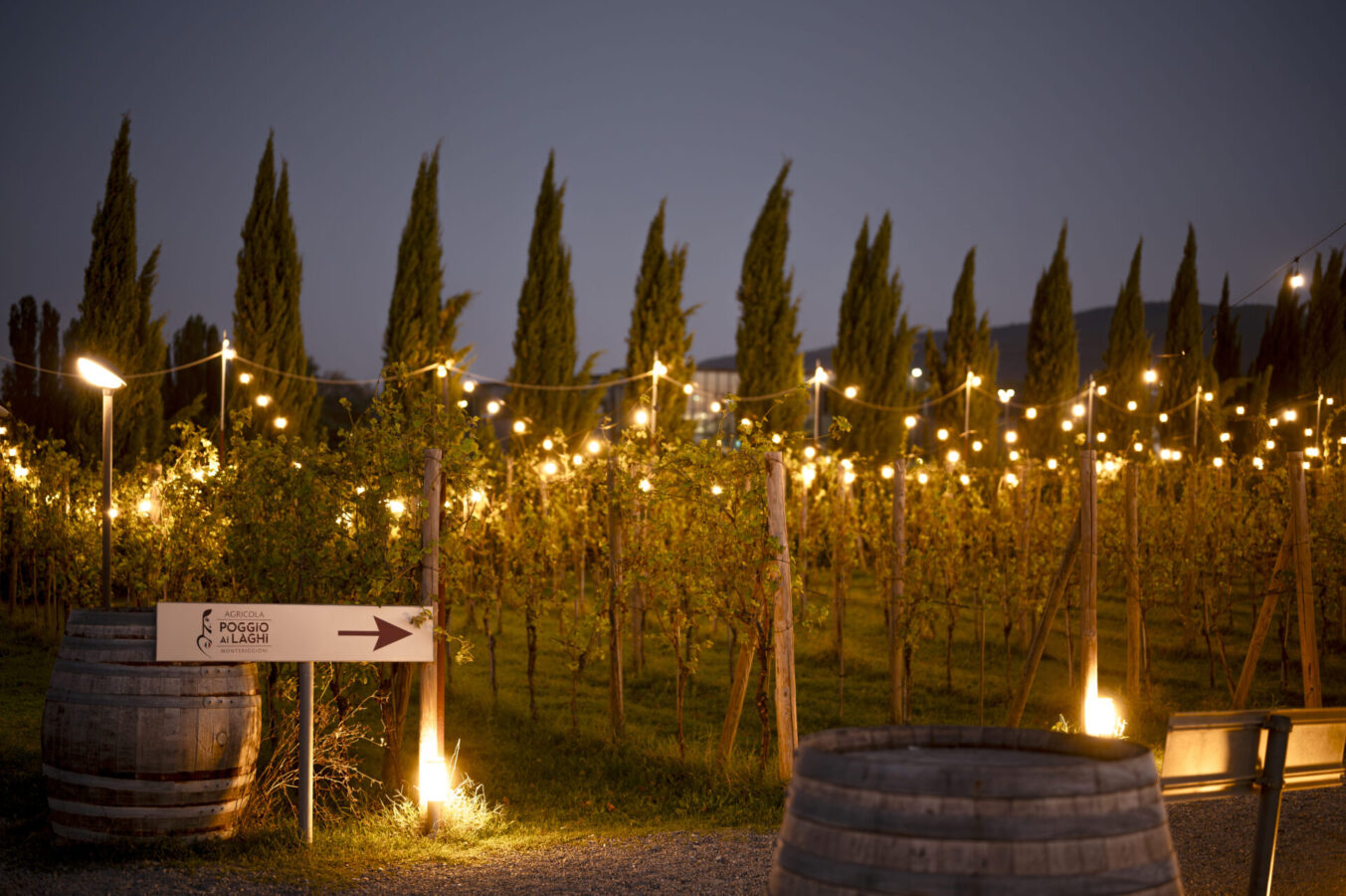 Capodanno Poggio ai Laghi Monteriggioni (Siena) 17