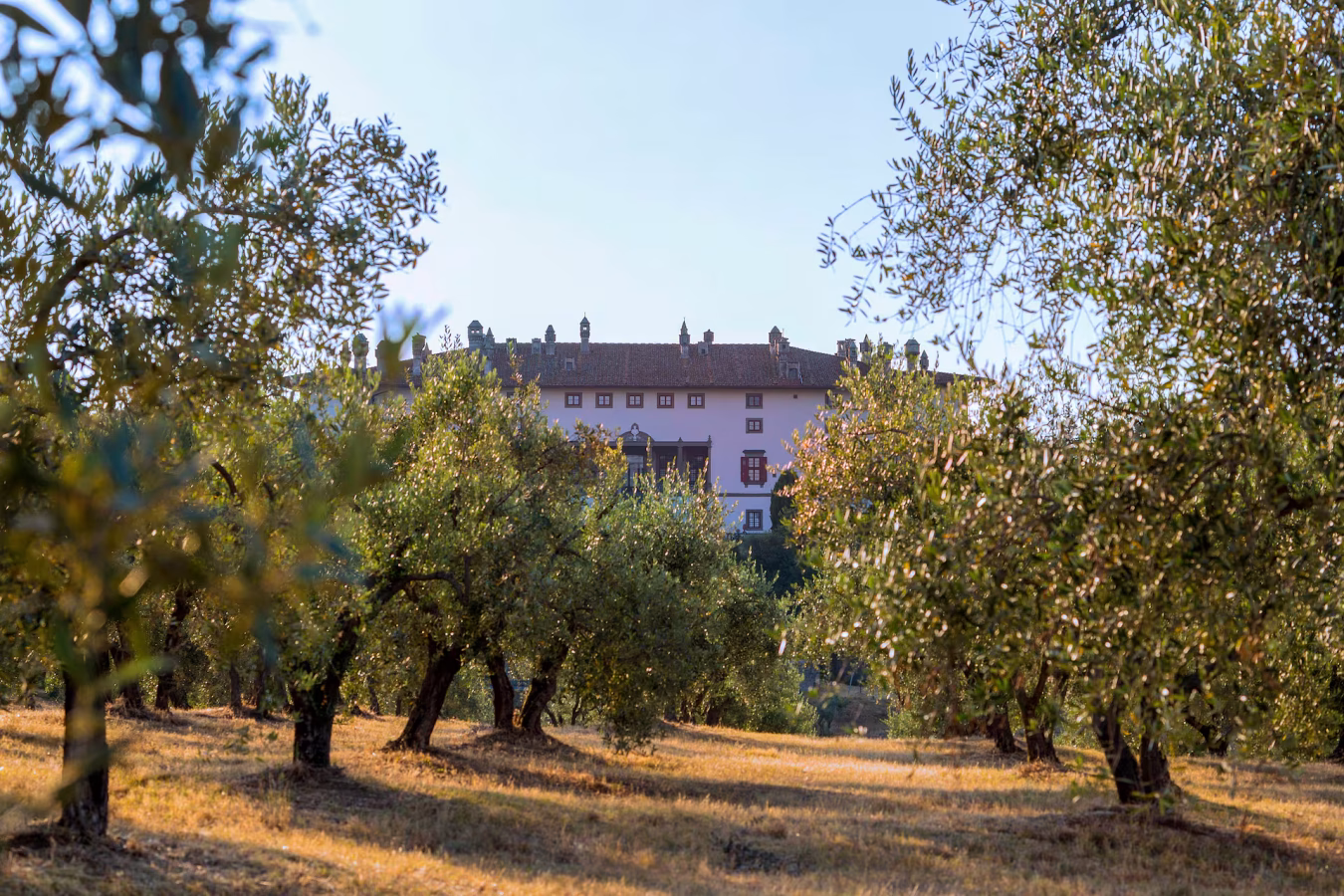 Capodanno Villa Artimino 31