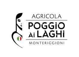 Capodanno Poggio ai Laghi Monteriggioni (Siena)